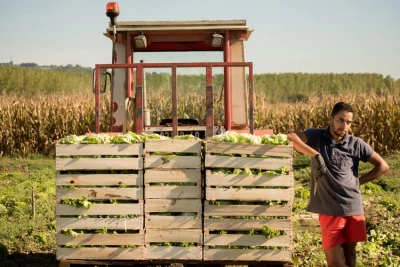 producteur Les producteurs de la Vallée de la Garonne