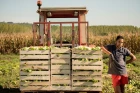 Les producteurs de la Vallée de la Garonne