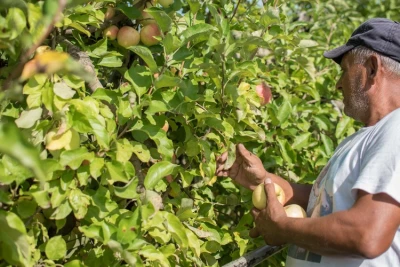 producteur Les maraîchers bio de la vallée du Lot