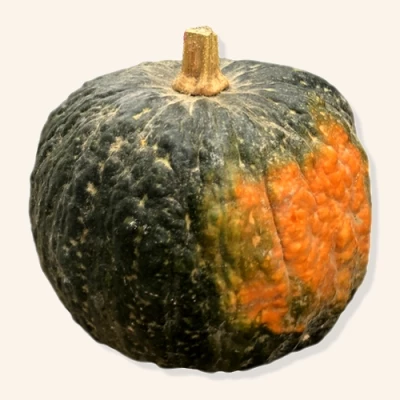 La courge Shiatsu, à tester absolument ! Sa chair, dense et parfumée, a la saveur de châtaigne et de noisette, miam...