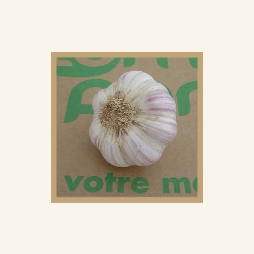 Ail Blanc/Violet AB