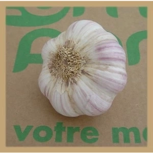 Ail Blanc/Violet AB