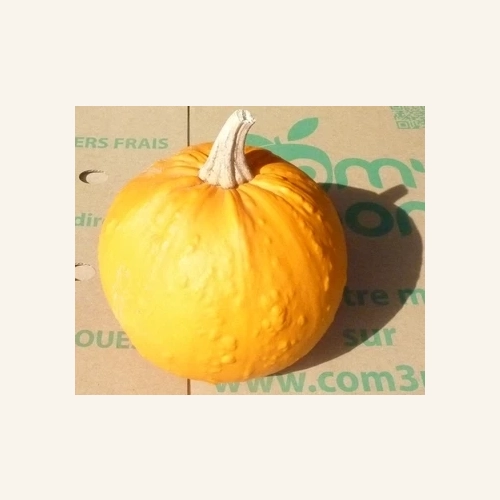 Citrouille Halloween (pour déco) 