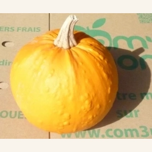 Citrouille Halloween (pour déco) 