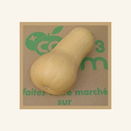 Courge Butternut AB