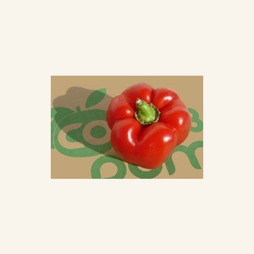 Poivron rouge AB