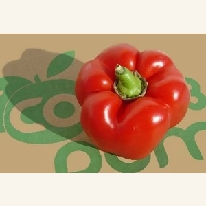 Poivron rouge AB