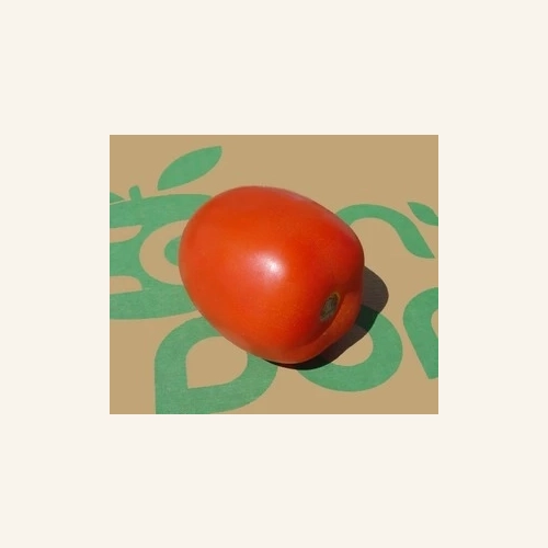 Tomates allongées  AB