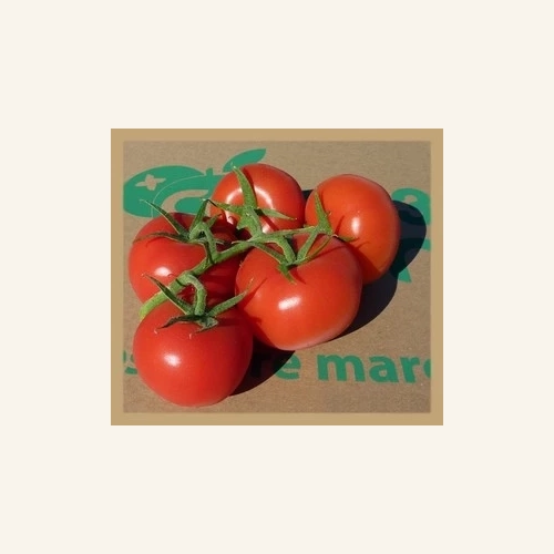 Tomates grappes rondes 