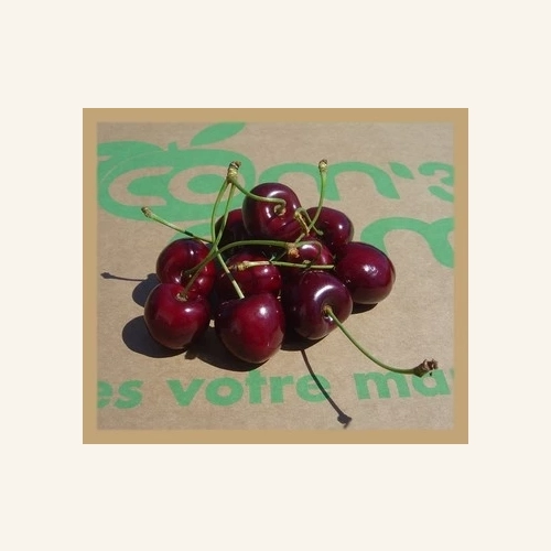 Cerises AB