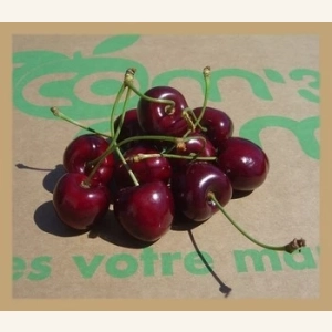 Cerises AB
