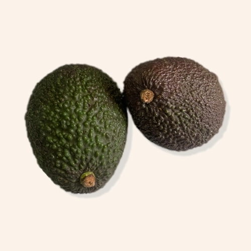 Avocat moyen Hass AB