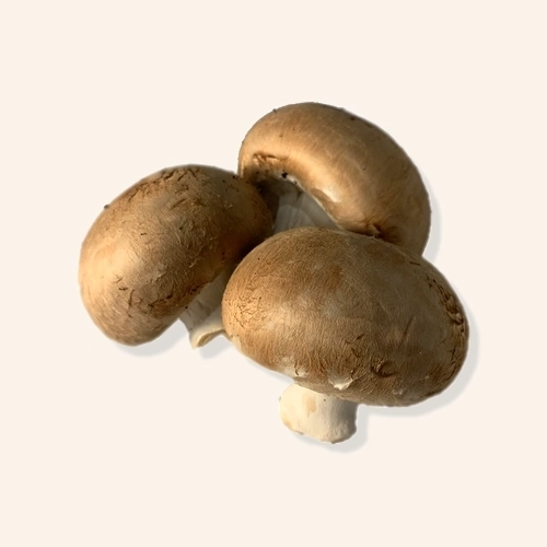 Champignon brun AB