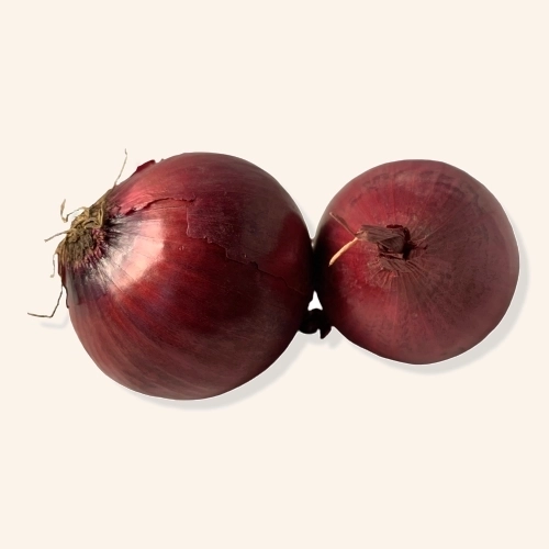 Oignons rouges secs AB