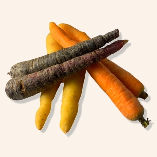 Carottes couleur AB