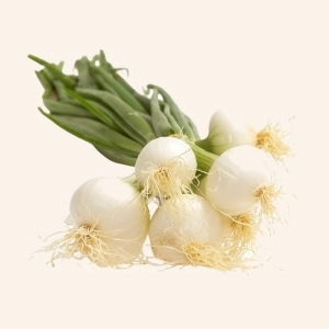 Oignons blancs frais