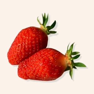 Fraise Gariguette AB - 250g