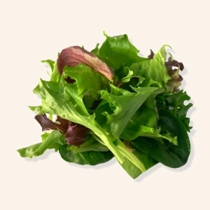 Salade jeunes pousses Mesclum - 125g