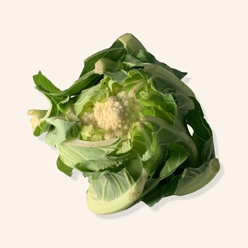 Chou fleur AB