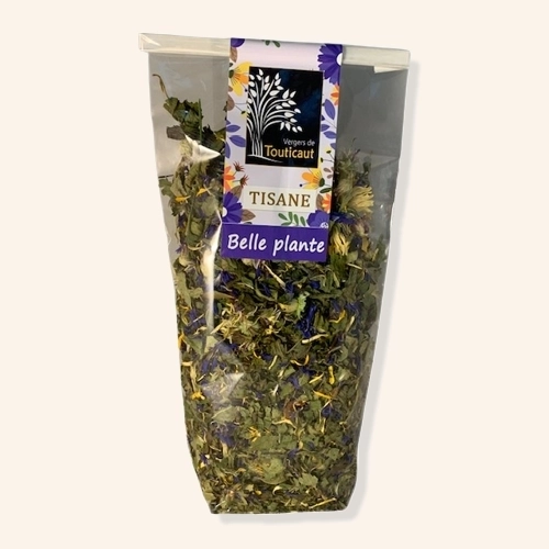 Tisane
