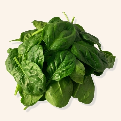 Salade jeunes pousses d'épinard - 1 Kg