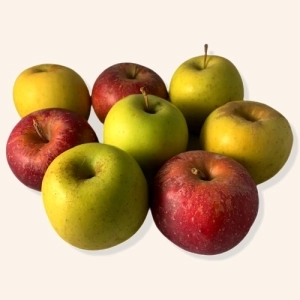 Pommes nouv. récolte AB