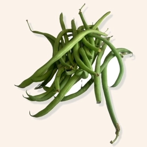 Haricots verts (ramassés main)