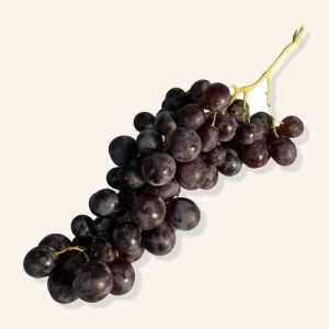 Raisin noir Muscat