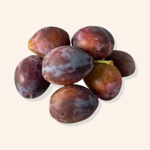 Prune d'ente fraîche
