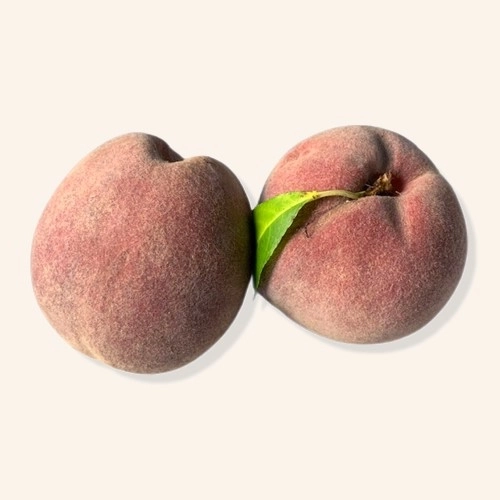 Pêches de vigne AB