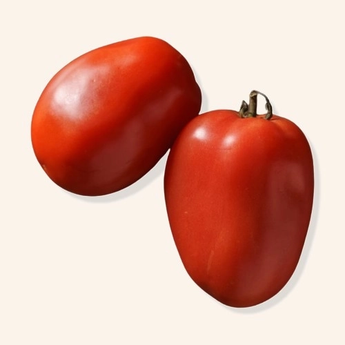 Tomates Roma allongées (spécial cuisson)