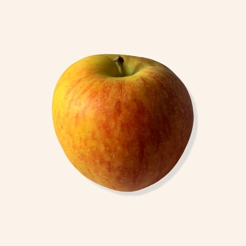 Pommes Daliclass