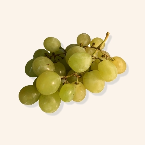 Raisin blanc ideal
