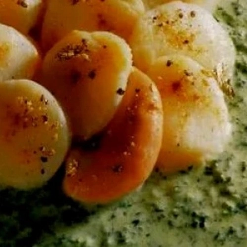Noix de saint-jacques à la crème de persil
