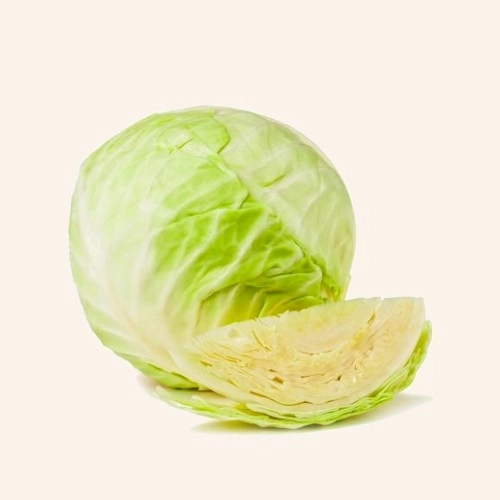 Chou blanc lisse AB