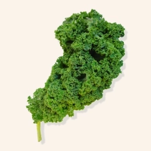 Chou Kale