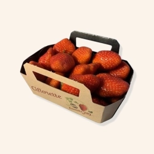 Fraise Ciflorette - 250g