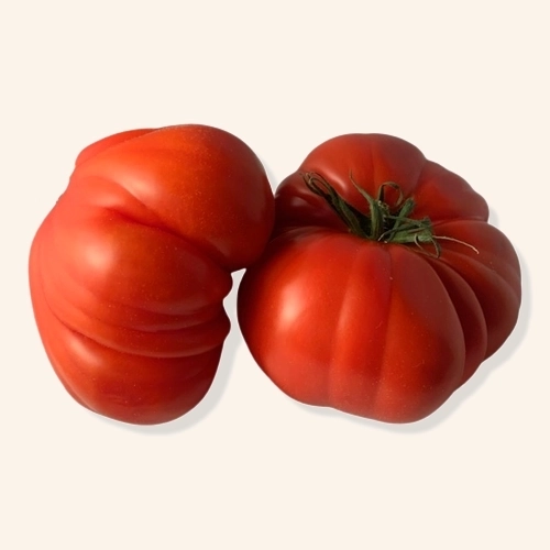 Tomate coeur de boeuf (à l'unité)