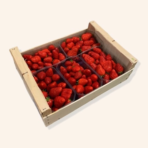 Fraises rondes Clery - 3 Kg