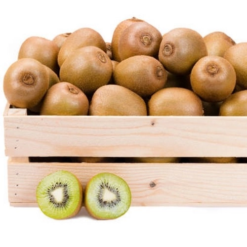 Kiwi Vert AB Cat2 5Kg