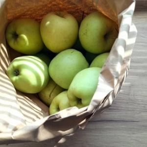 Pomme Granny Smith