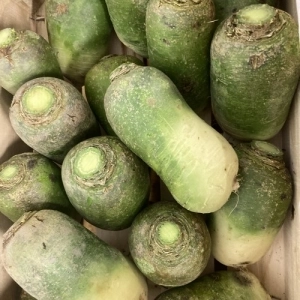 Radis Green meat AB