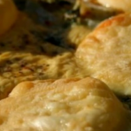 Gratin de fenouil au Bleu d'Auvergne