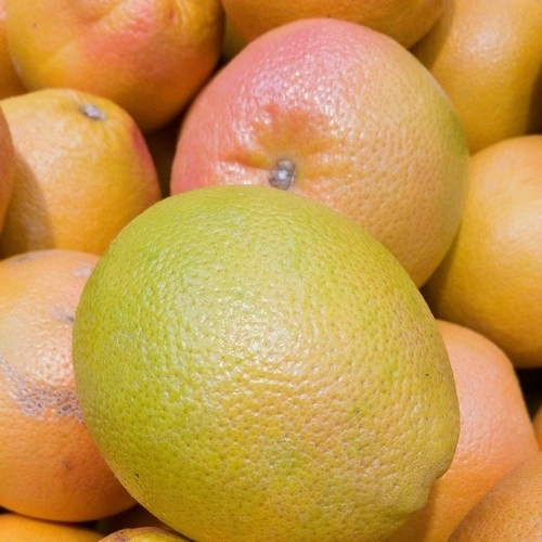 Pomelos