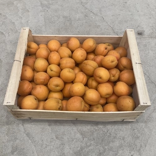 Abricot 5Kg
