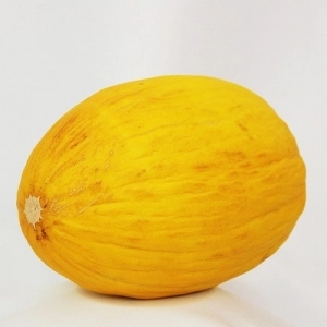 Melon Jaune AB