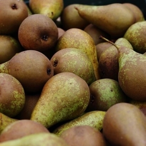 Colis poire confèrence 5Kg