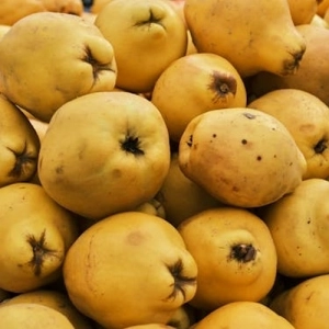 colis de coing 5Kg