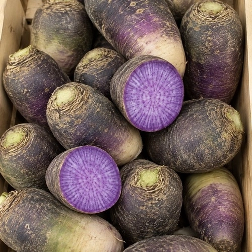 Radis Blue Meat AB