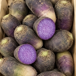 Radis Blue Meat AB